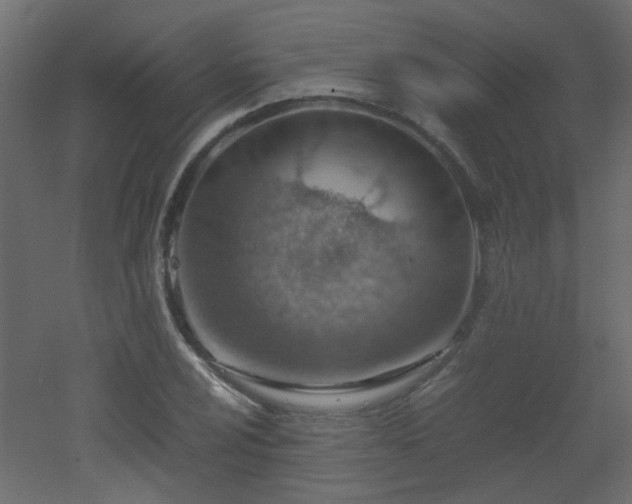 X0000051911024200506241437