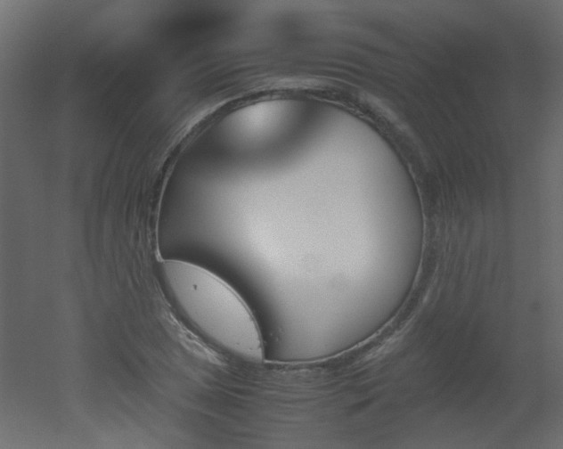 X0000051911025200506241437