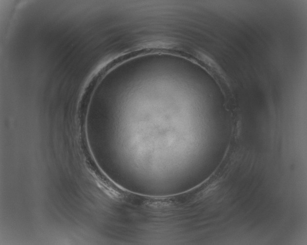 X0000051911027200506241437