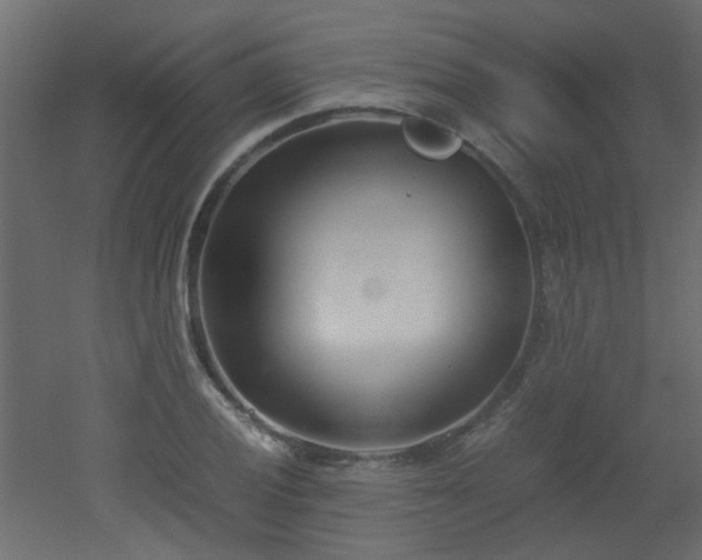 X0000051911028200506241437