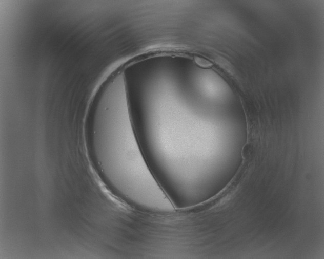 X0000051911030200506241437