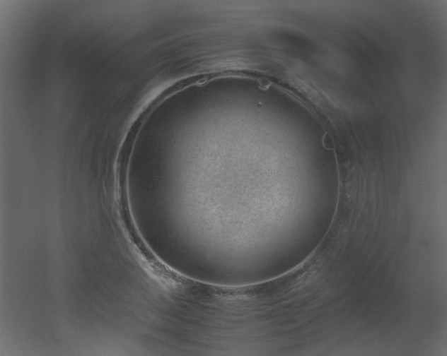 X0000051911031200506241437