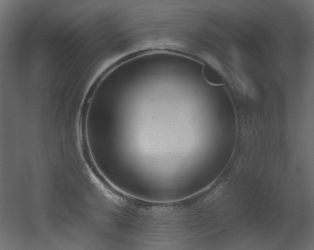 X0000051911032200506241437