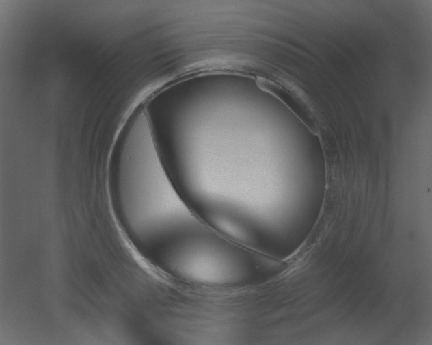 X0000051911034200506241437