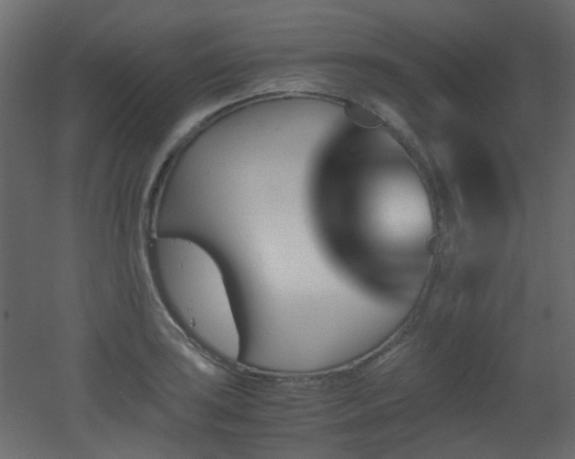 X0000051911035200506241437