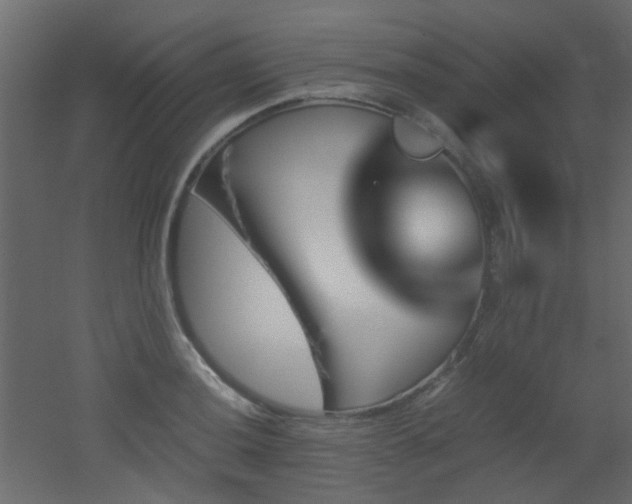 X0000051911036200506241437