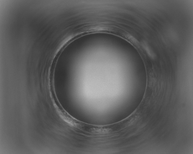 X0000051911039200506241438