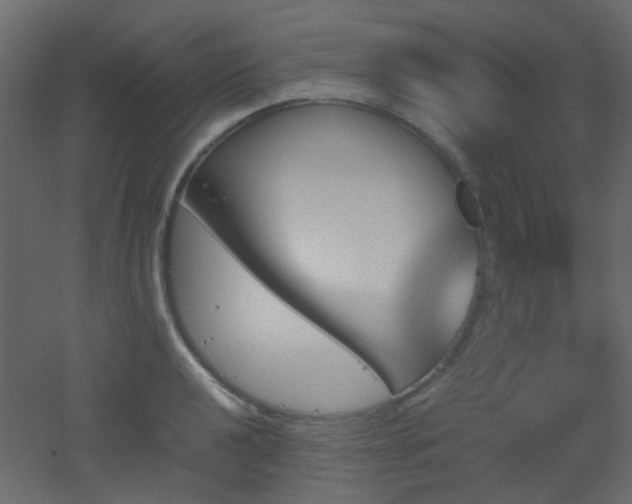 X0000051911040200506241438