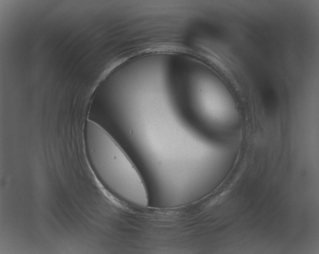 X0000051911041200506241438