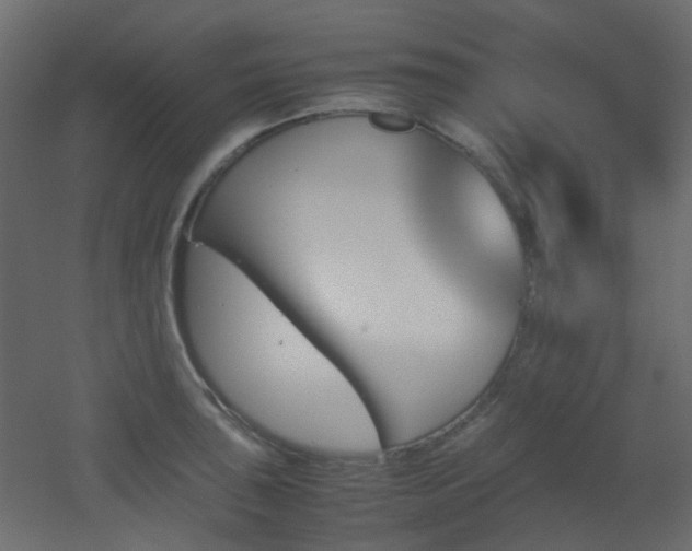 X0000051911043200506241438