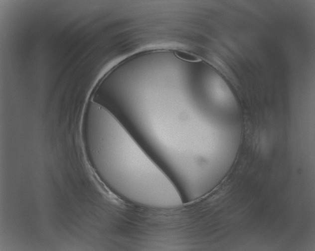 X0000051911044200506241438