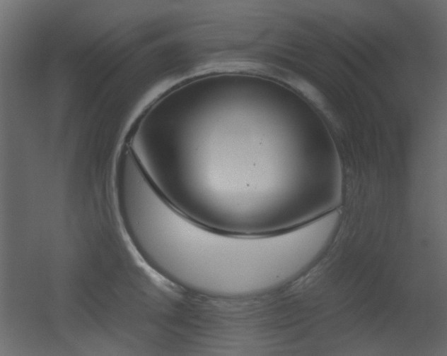 X0000051911046200506241438