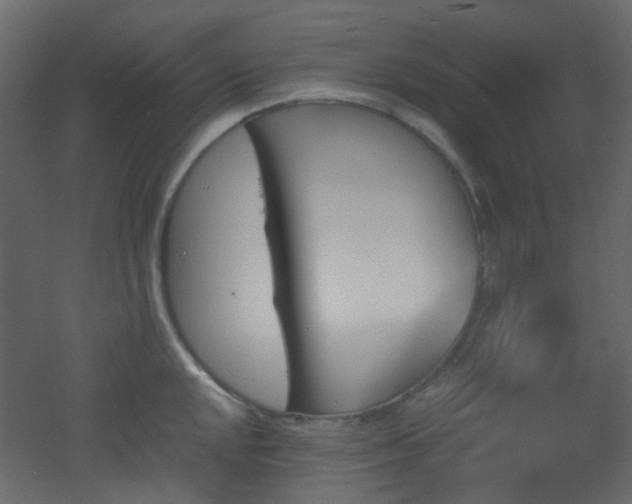 X0000051911048200506241438