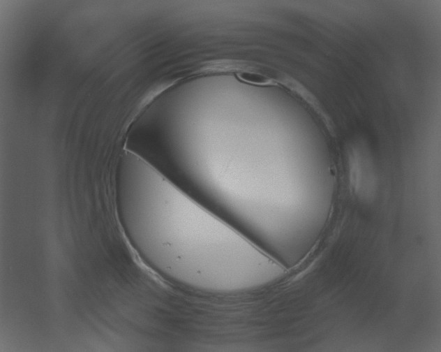 X0000051911049200506241438