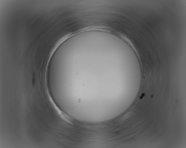 X0000051911050200506241438