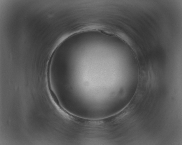 X0000051911055200506241438