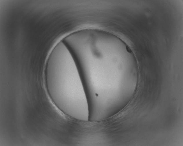 X0000051911056200506241438