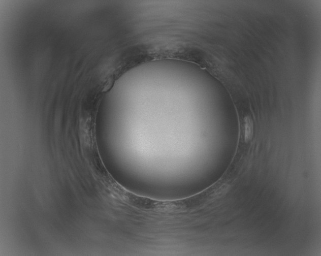 X0000051911059200506241437