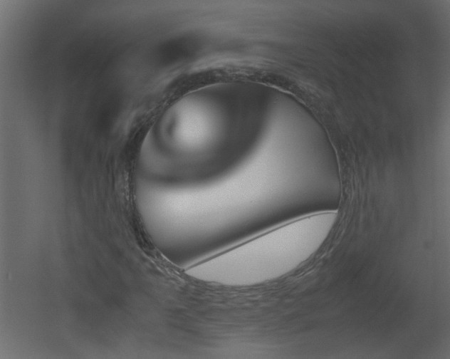 X0000051911061200506241437