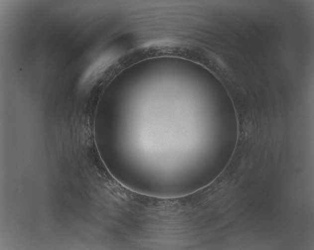 X0000051911062200506241437