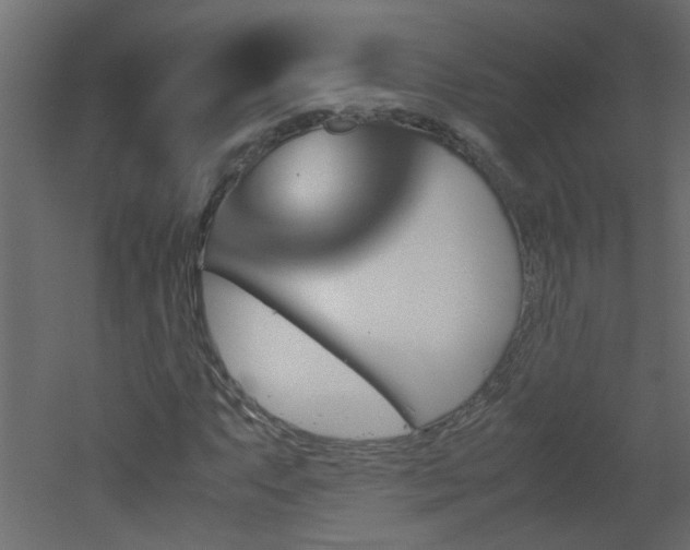 X0000051911063200506241437