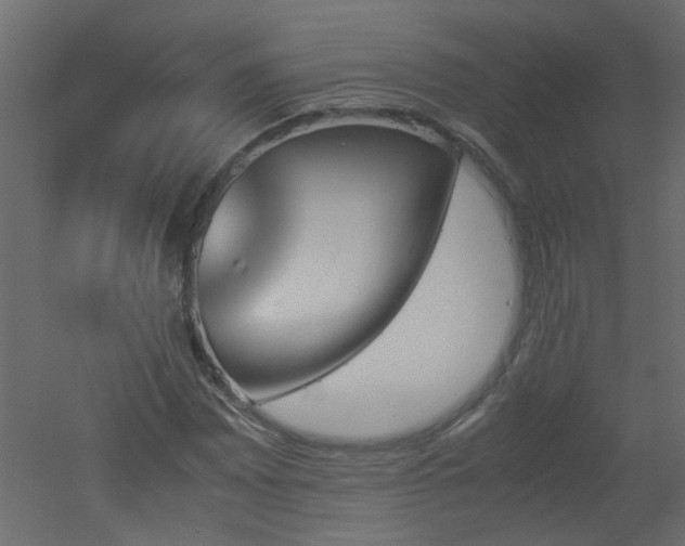 X0000051911065200506241437