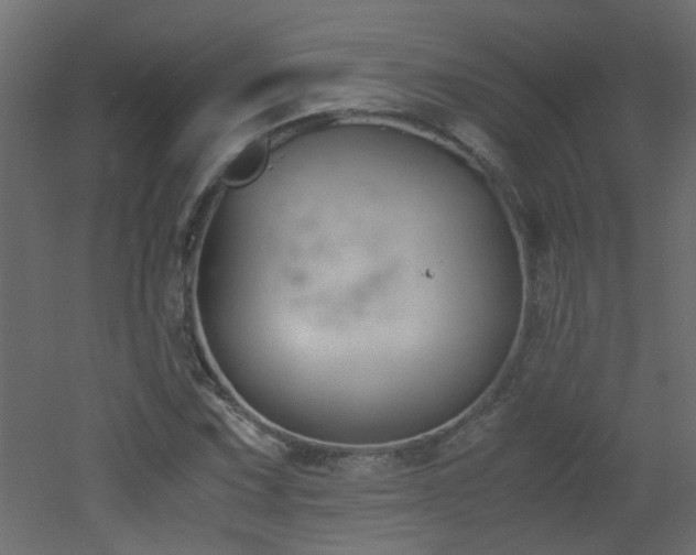 X0000051911067200506241437