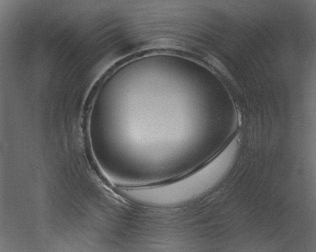 X0000051911068200506241437