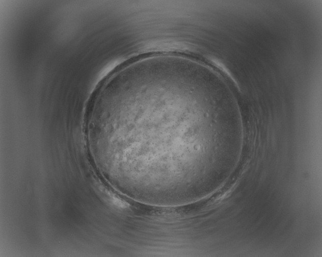 X0000051911071200506241437