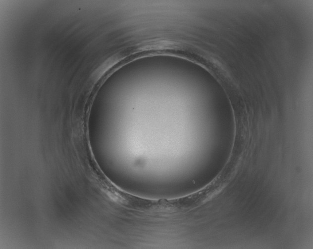 X0000051911073200506241437