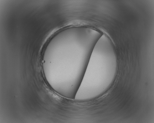 X0000051911075200506241437