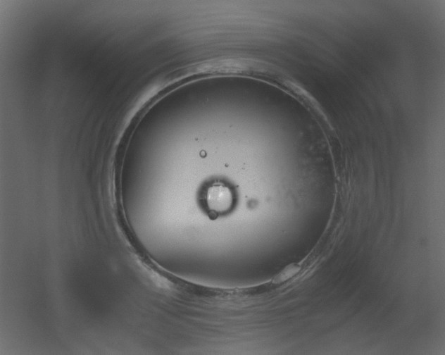 X0000051911083200506241437