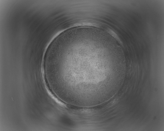 X0000051911084200506241437