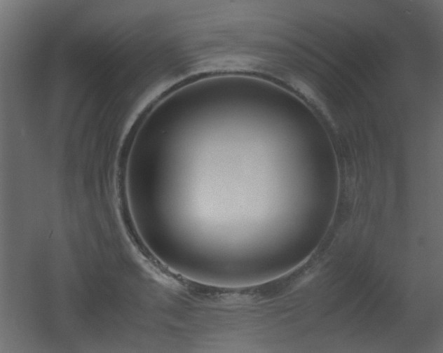 X0000051911085200506241437