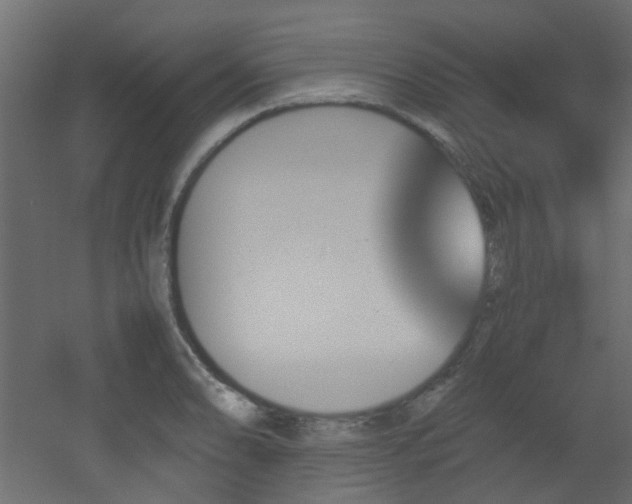 X0000051911086200506241436