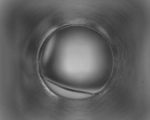 X0000051911087200506241436