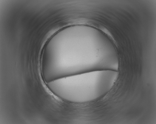 X0000051911088200506241436