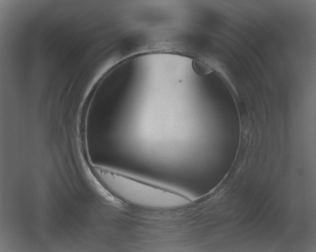 X0000051911091200506241436
