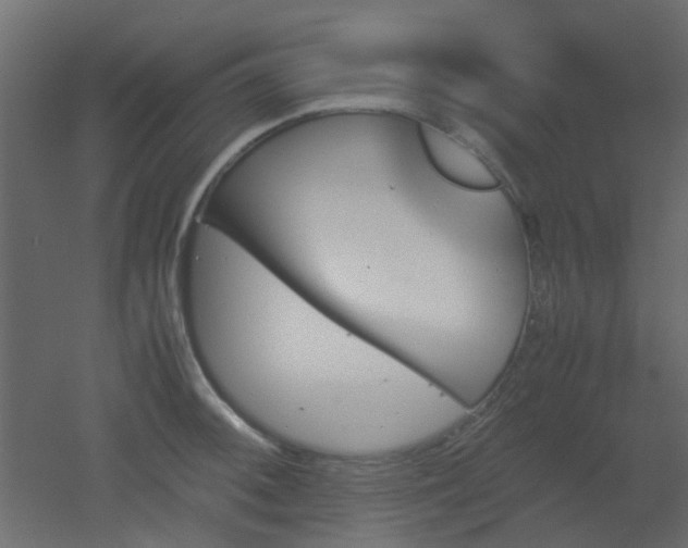 X0000051911092200506241436