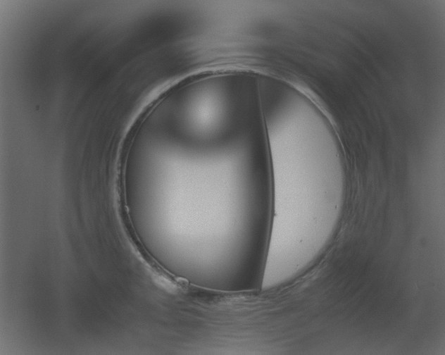 X0000051911093200506241436