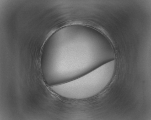 X0000051911097200506241436