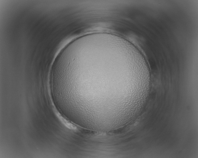 X0000051911098200506241436