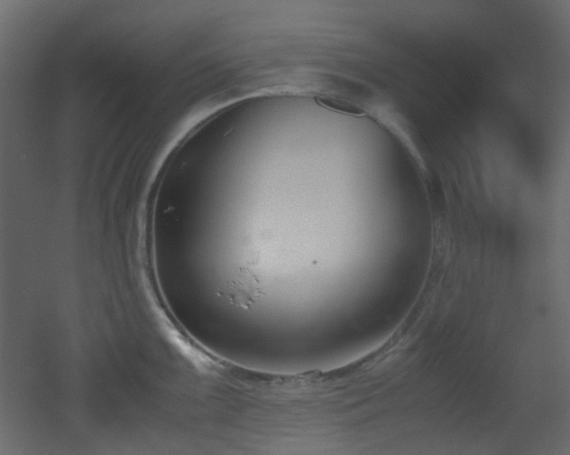 X0000051911099200506241436