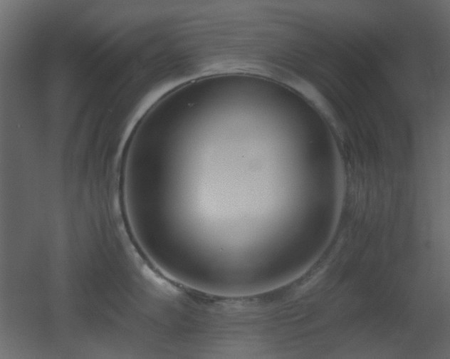 X0000051911102200506241436
