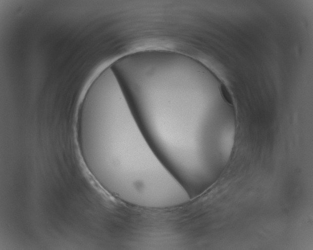 X0000051911104200506241436