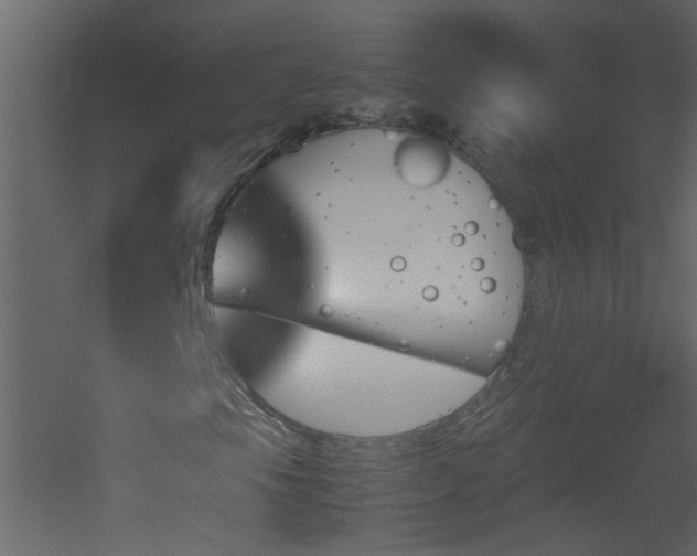X0000051911105200506241435