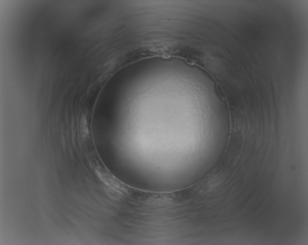 X0000051911106200506241435