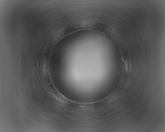 X0000051911107200506241435