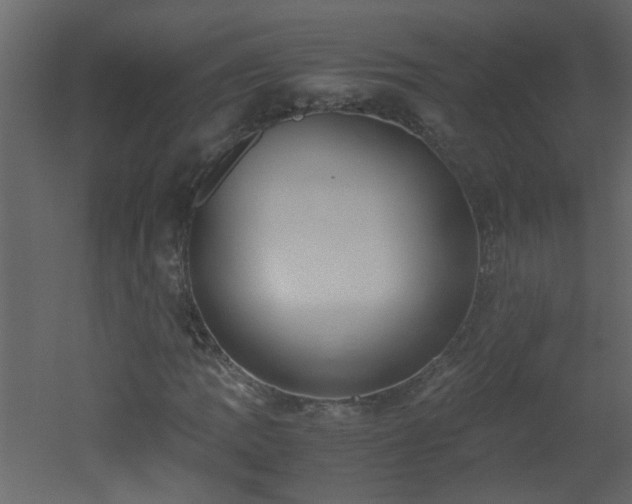 X0000051911109200506241435