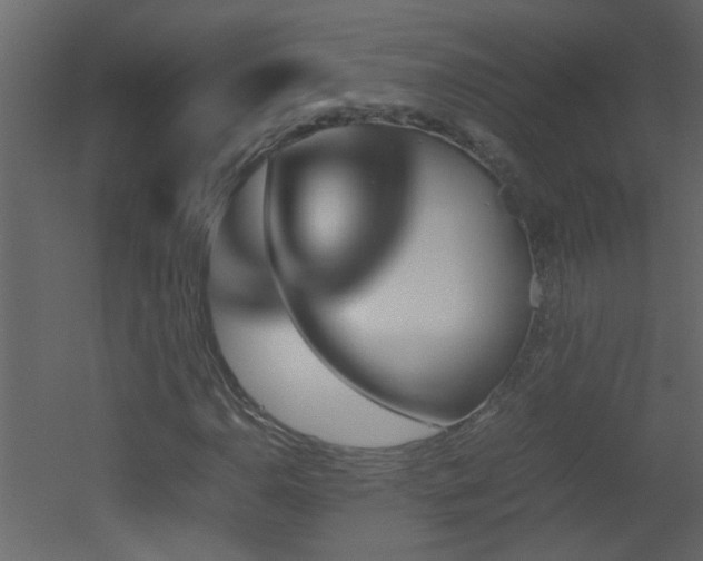 X0000051911110200506241435